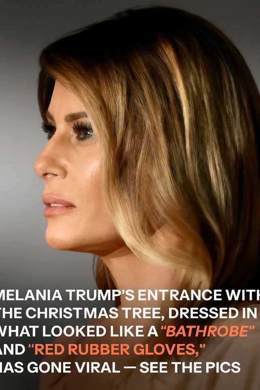 Melania Trump’s Elegant Welcome of the White House Christmas Tree Has Everyone Talking