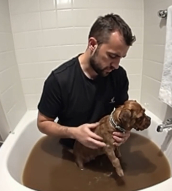 I saved a dirty, miserable animal, thinking it was just an ordinary puppy… but at