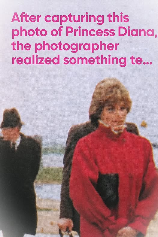 A Photo That Looks Strange at First… Until You Look Closer