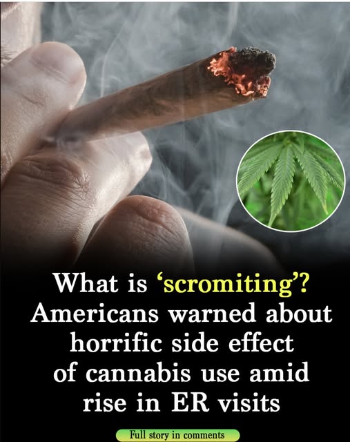 What is ‘scromiting’? US citizens warned about terrifying cannabis side effect