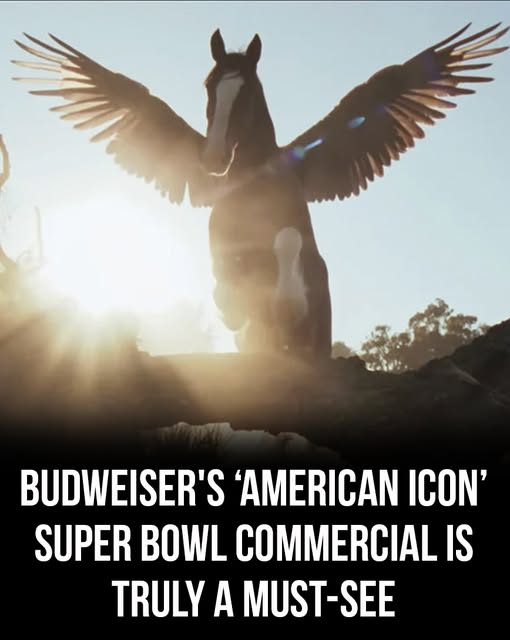 Budweiser’s “American Icon” Super Bowl commercial is truly a must-see
